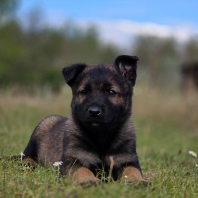 499444116 10232977429591034 7629133450598149032 N