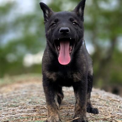 500241321 10232977448671511 7610837501722000594 N